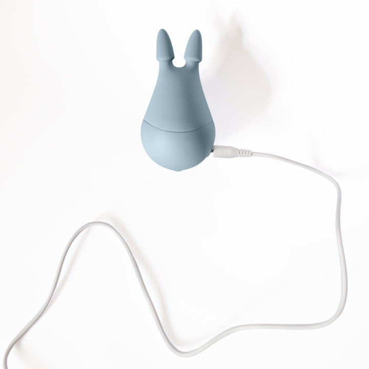 Chinchilla USB Charger Wire