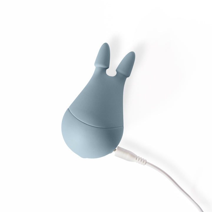 Chinchilla USB Charger Wire